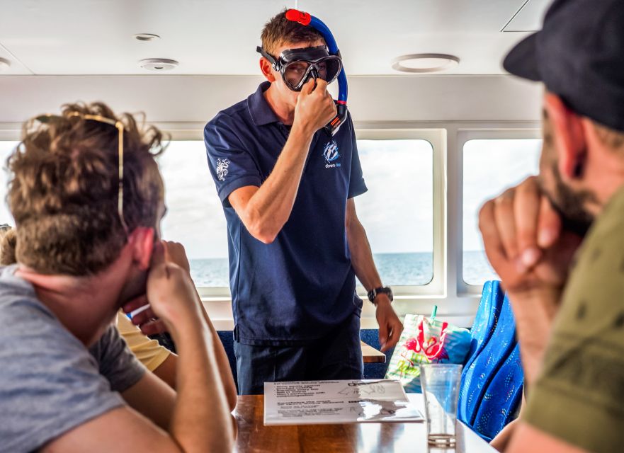 Cairns: Premium Snorkelling and Diving Reef Day Trip - Should you book the Divers Den reef trip?