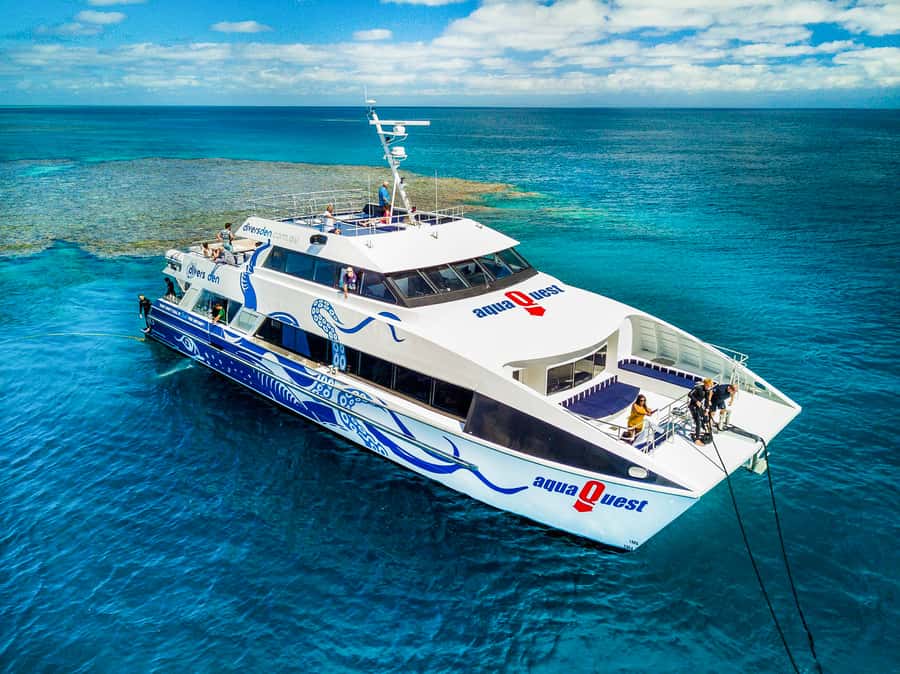 Cairns: Premium Snorkelling and Diving Reef Day Trip - Leaving Cairns at 8:30 in the morning