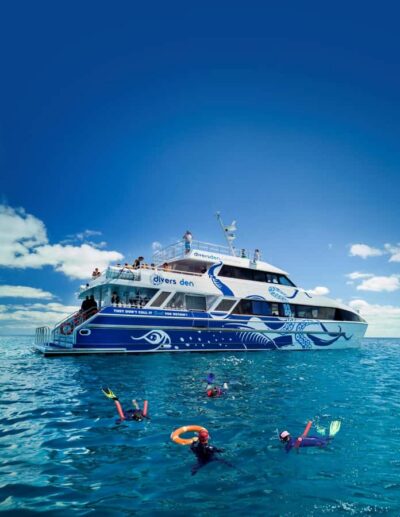 Premium Snorkelling and Diving Reef Day Trip
