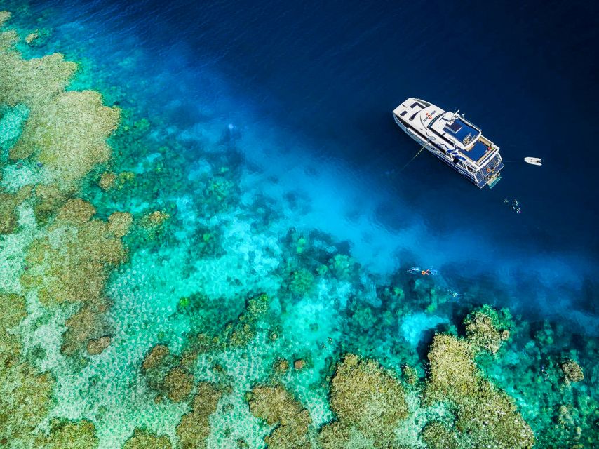 Cairns: Premium Snorkelling and Diving Reef Day Trip - Lunch, hot showers, and a second chance in the water