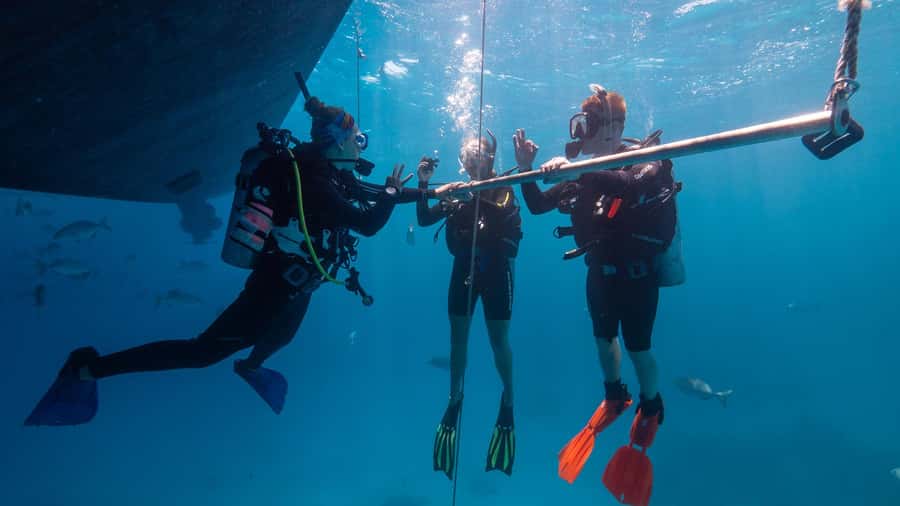 Cairns: Premium Snorkelling and Diving Reef Day Trip - What the equipment and staff support mean