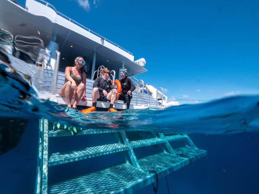 Cairns: Premium Snorkelling and Diving Reef Day Trip - Photos, GoPro hire, and what costs extra