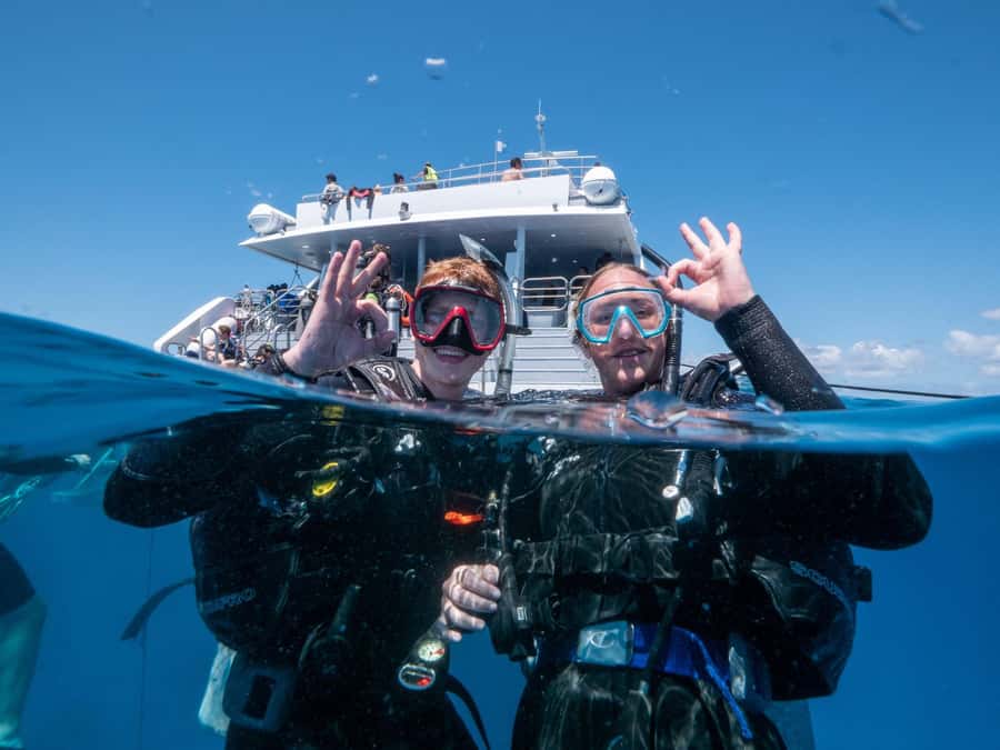 Cairns: Premium Snorkelling and Diving Reef Day Trip - Practical packing for the day