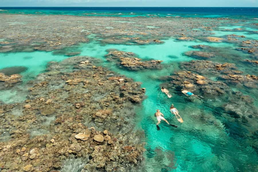 Cairns: Silverswift 3 Great Barrier Reef Sites in 1 Day - Third reef stop: the longest chance to explore