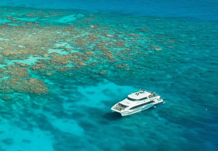 Cairns: Silverswift 3 Great Barrier Reef Sites in 1 Day - Is $209 good value?