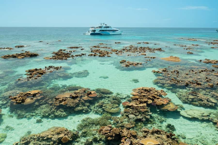 Cairns: Silverswift 3 Great Barrier Reef Sites in 1 Day - Should you book Silverswift?