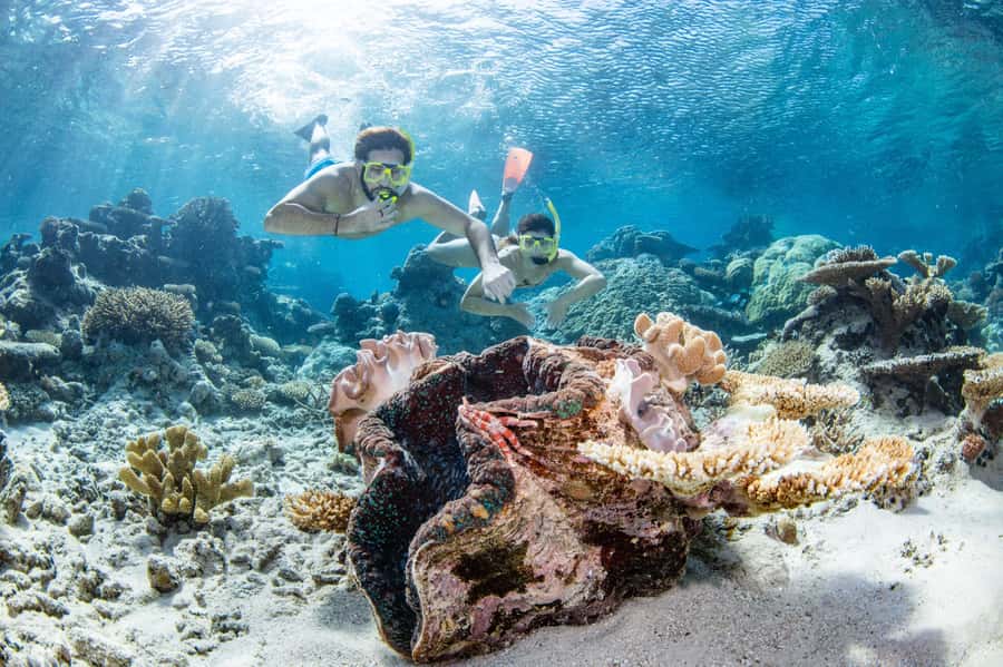 Cairns: Silverswift 3 Great Barrier Reef Sites in 1 Day - First reef stop: get comfortable in the water