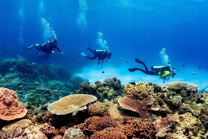 Cairns Sunset Cruise - Is $56.66 good value?