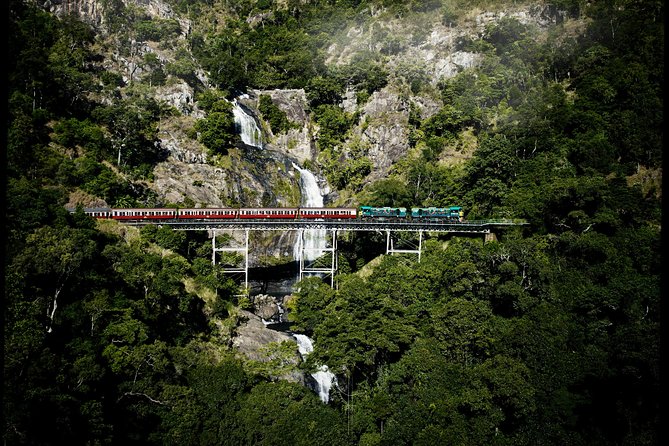 Cairns Super Saver: Reef Cruise, Daintree & Kuranda Rail/Skyrail - Into the Daintree and on to Cape Tribulation