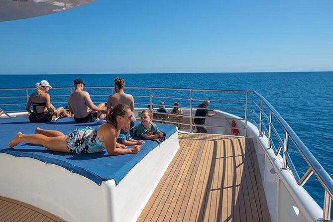Cairns Super Saver: Reef Cruise, Daintree & Kuranda Rail/Skyrail - Food, equipment and extra costs