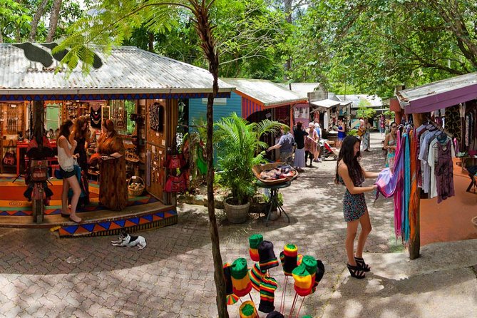 Cairns Super Saver: Reef Cruise, Daintree & Kuranda Rail/Skyrail - Booking details that can save trouble
