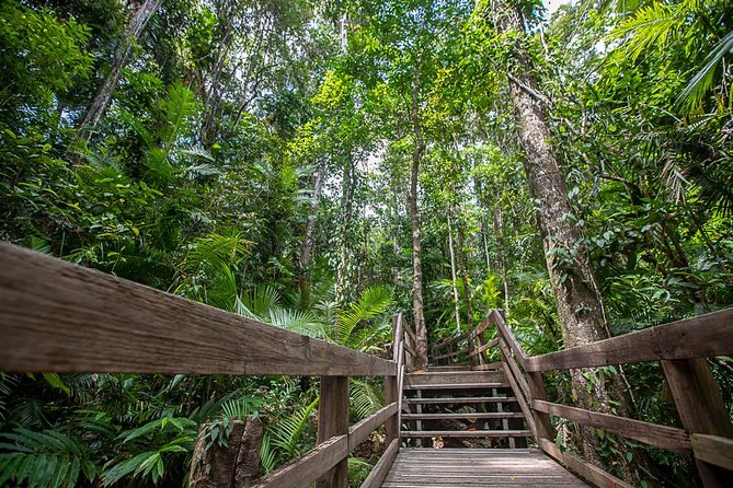Cairns Super Saver: Reef Cruise, Daintree & Kuranda Rail/Skyrail - Who will get the most from this package