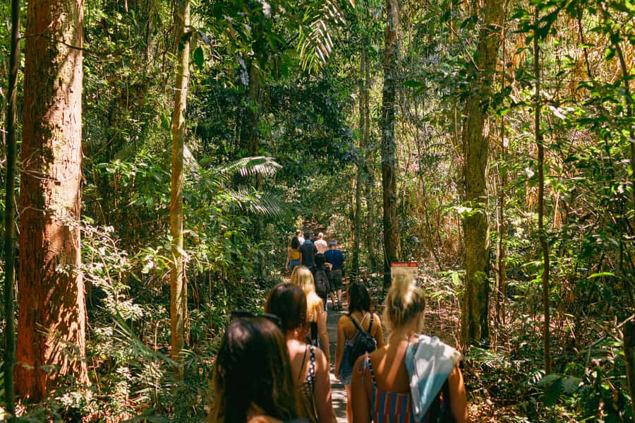 Cairns: Waterfall Tour with Lunch - Rain, cold water, and the right packing list