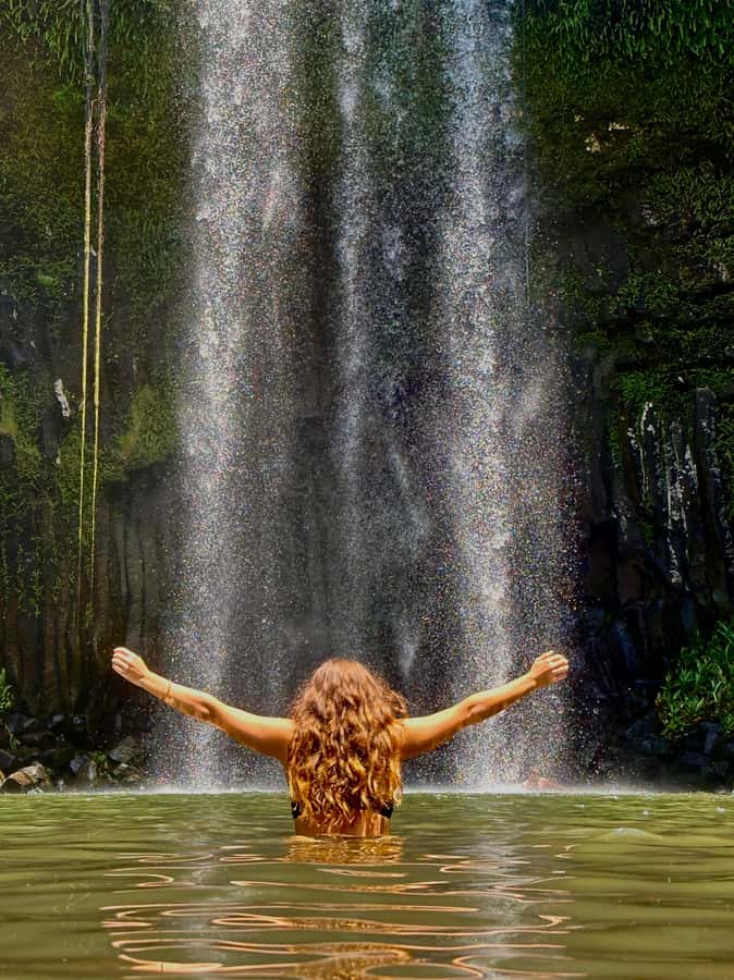 Cairns: Waterfall Tour with Lunch - Cathedral Fig Tree and a different kind of rainforest stop