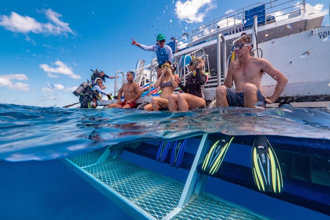 Calypso Outer Great Barrier Reef Cruise from Port Douglas - Key details before you book