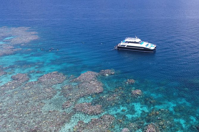 Calypso Outer Great Barrier Reef Cruise from Port Douglas - Three stops, three chances to see the reef