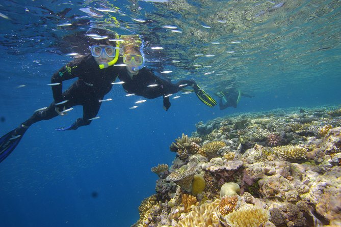 Calypso Outer Great Barrier Reef Cruise from Port Douglas - Optional scuba with small instructor groups