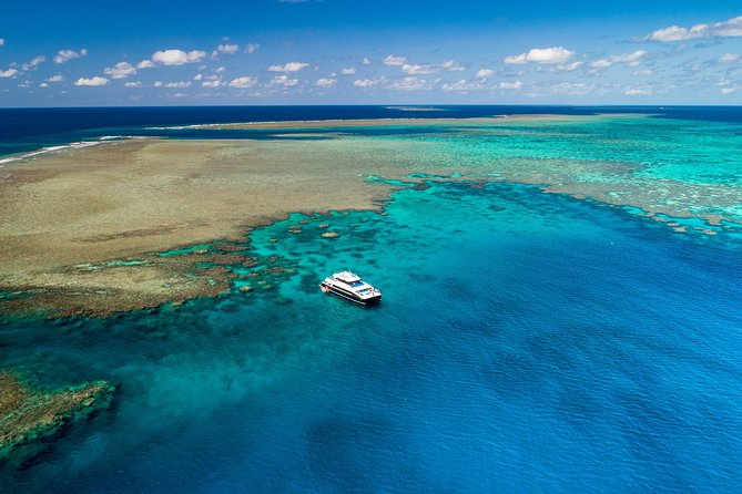 Calypso Outer Great Barrier Reef Cruise from Port Douglas - Is $227.37 good value?