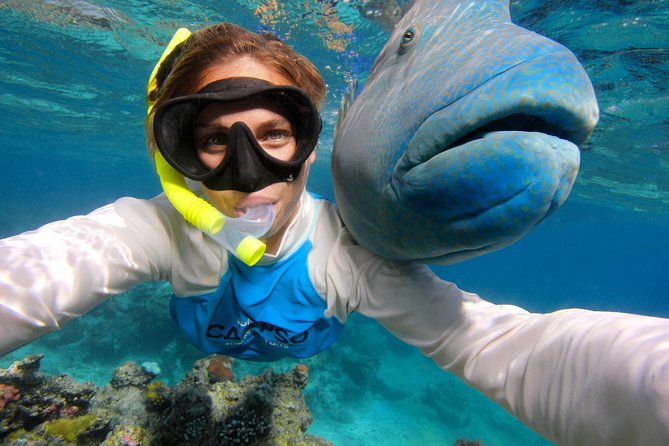 Calypso Outer Great Barrier Reef Cruise from Port Douglas - Who should book this Port Douglas reef cruise?