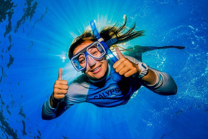 Calypso Outer Great Barrier Reef Cruise from Port Douglas - Snorkeling for first-timers and regular swimmers