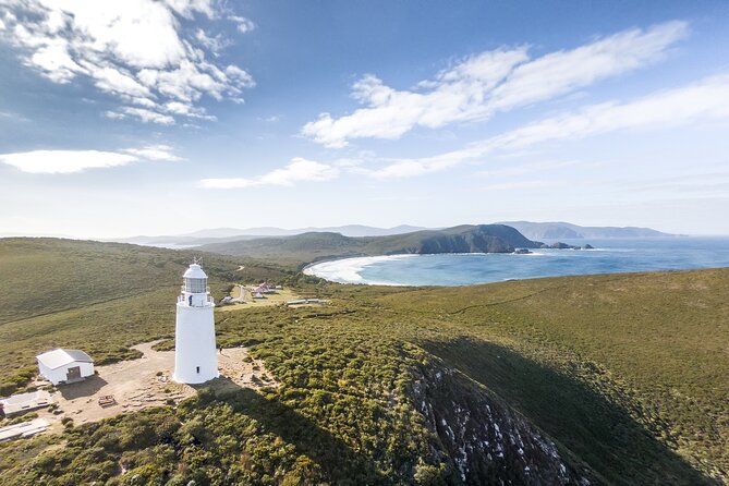 Cape Bruny Lighthouse Tour - Bruny Island - Using binoculars to spot wildlife