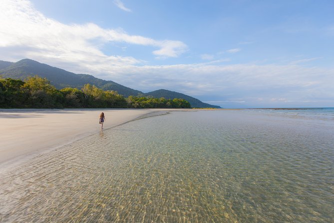 Cape Tribulation & Daintree Wilderness (TCT) - Cape Tribulation Beach and lunch near the reef
