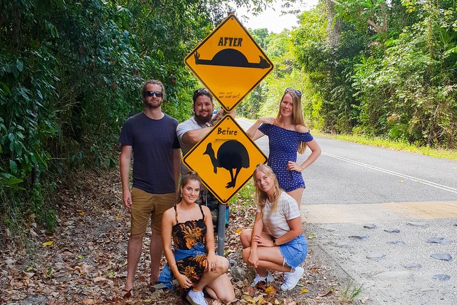Cape Tribulation & Daintree Wilderness (TCT) - The guided rainforest walk: short, clear, and rewarding