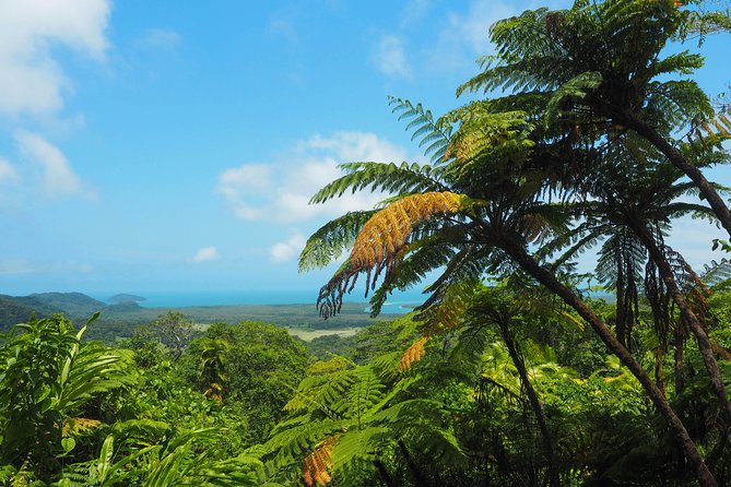 Cape Tribulation & Daintree Wilderness (TCT) - Crocodile Express on the Daintree River
