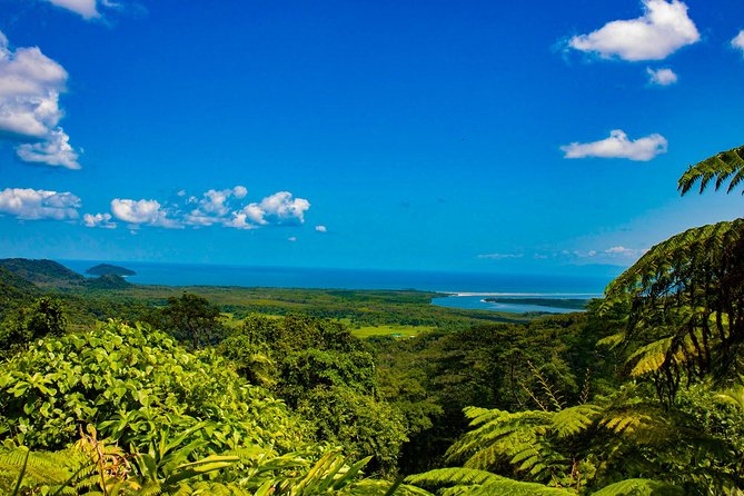 Cape Tribulation Day Tour - Why this tour works for a first visit to the Daintree
