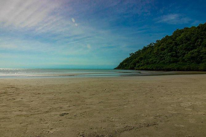Cape Tribulation Day Tour - Marrdja or Jindalba Boardwalk through the rainforest