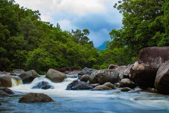 Cape Tribulation Day Tour - Crocodile spotting on the Daintree River