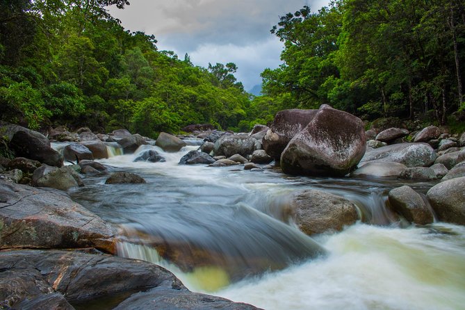 Cape Tribulation Day Tour - Mossman Gorge and the chance to swim