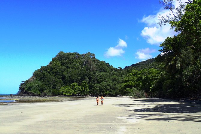Cape Tribulation Day Tour from Cairns - Why the Cairns to Cape Tribulation trip works
