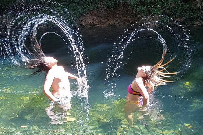 Cape Tribulation Day Tour from Cairns - Guides who make the long day easier