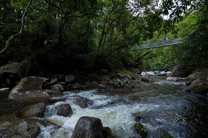 Cape Tribulation, Mossman Gorge and Daintree Rainforest Day Tour - Key points before you book