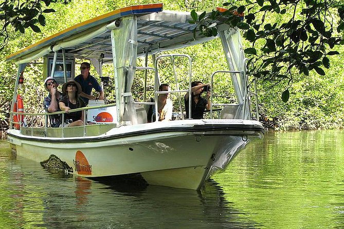 Cape Tribulation, Mossman Gorge and Daintree Rainforest Day Tour - Crocodiles and quiet water on the Daintree River