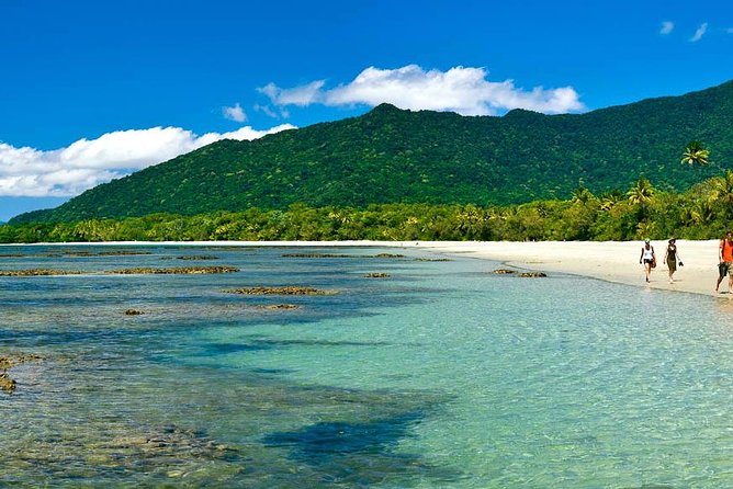 Cape Tribulation, Mossman Gorge and Daintree Rainforest Day Tour - Cape Tribulation and the Daintree Rainforest