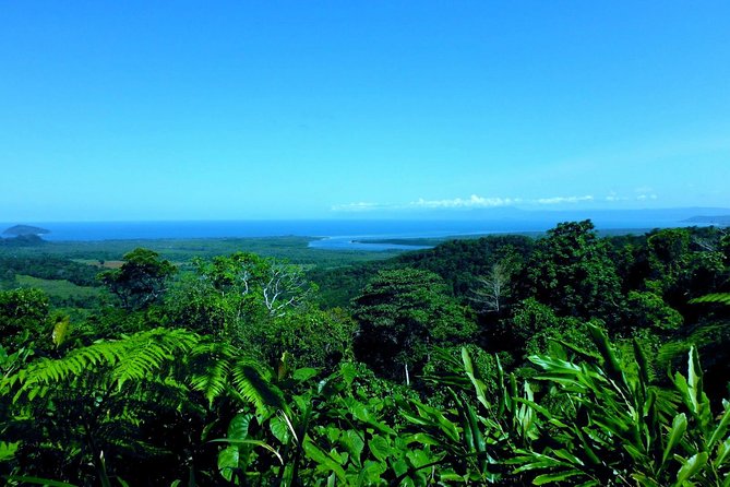 Cape Tribulation, Mossman Gorge and Daintree Rainforest Day Tour - Ice cream, lookout views and the ride home