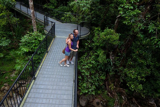 Cape Tribulation, Mossman Gorge and Daintree Rainforest Day Tour - A quick look at Port Douglas