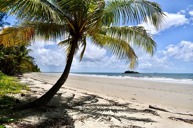 Cape Tribulation, Mossman Gorge, and Daintree Rainforest Day Trip - Cruising the Daintree River for crocodiles