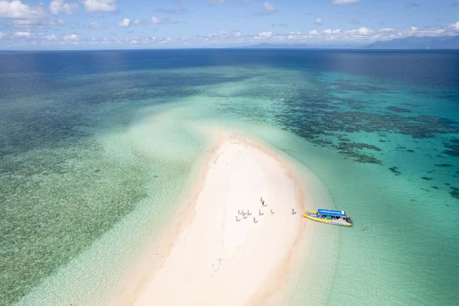 Cape Tribulation Ocean Safari - Great Barrier Reef Adventure - Key points to know before you book