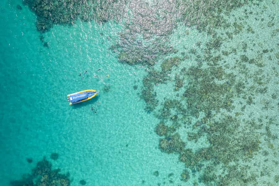 Cape Tribulation Ocean Safari - Great Barrier Reef Adventure - Why this Cape Tribulation reef trip feels different
