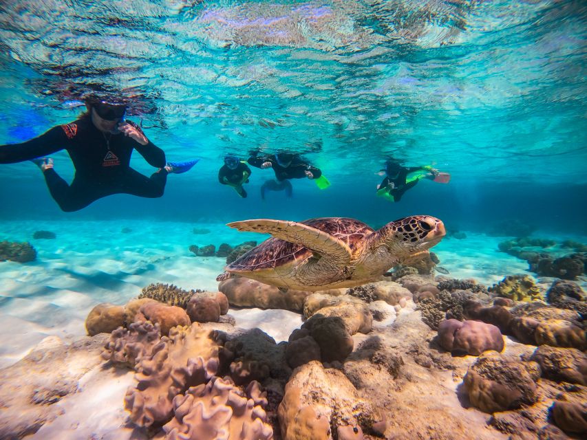 Cape Tribulation Ocean Safari - Great Barrier Reef Adventure - The sand cay and the pause between snorkels