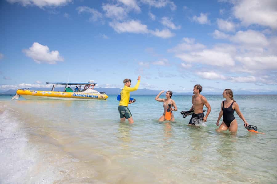 Cape Tribulation Ocean Safari - Great Barrier Reef Adventure - Wildlife, coral, and what you may actually see
