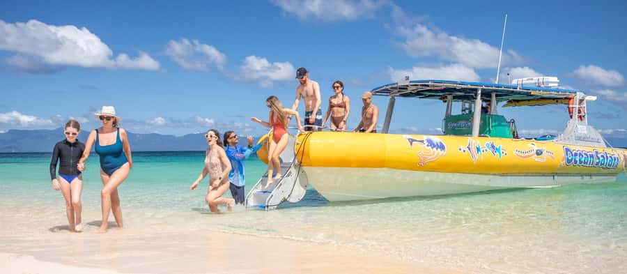 Cape Tribulation Ocean Safari - Great Barrier Reef Adventure - What the crew adds to the day