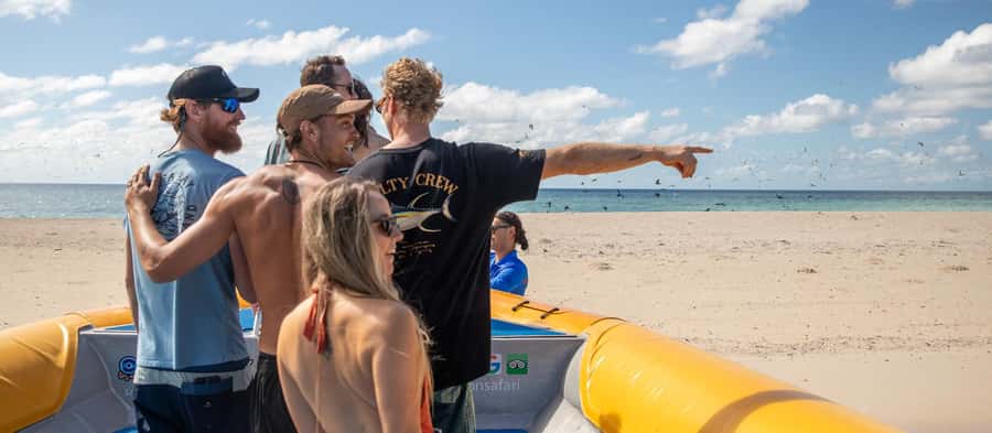 Cape Tribulation Ocean Safari - Great Barrier Reef Adventure - Is $146 good value for a 270-minute tour?