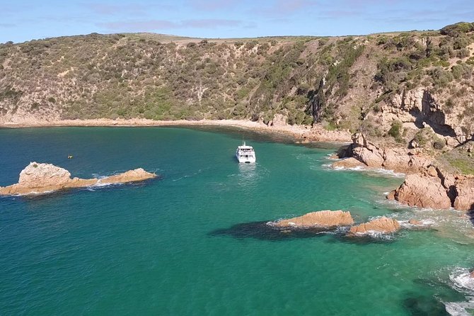 Cape Woolamai Sightseeing Cruise from San Remo - Starting at San Remo Jetty