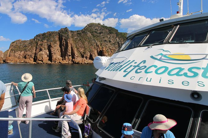 Cape Woolamai Sightseeing Cruise from San Remo - Cape Woolamai’s Cliffs and Caves