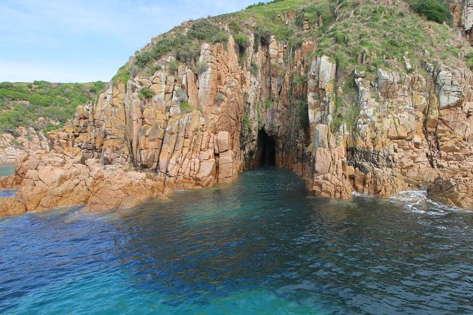 Cape Woolamai Sightseeing Cruise from San Remo - Wildlife Watching Without False Promises