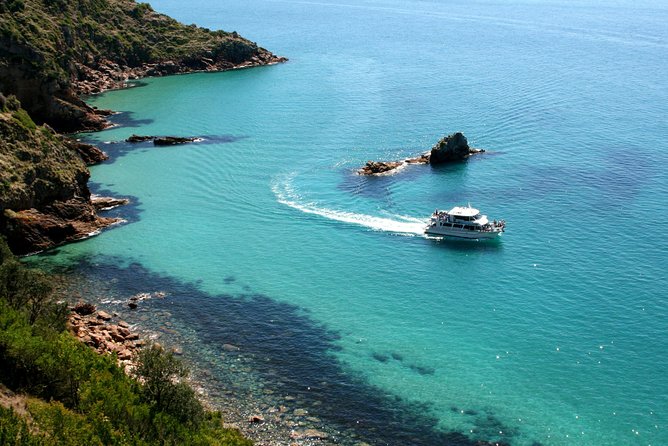 Cape Woolamai Sightseeing Cruise from San Remo - Commentary, Crew, and Boat Comfort